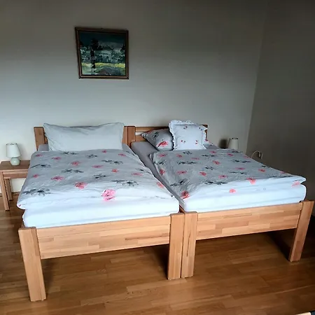 Buedingen-ferienwohnung Bausch شقة *